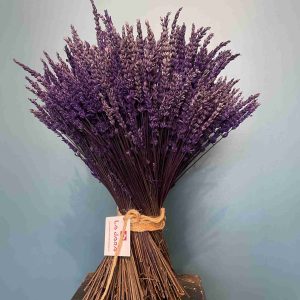 Ramo de lavanda preservada