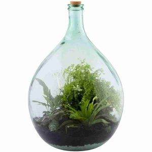 Kit terrarium