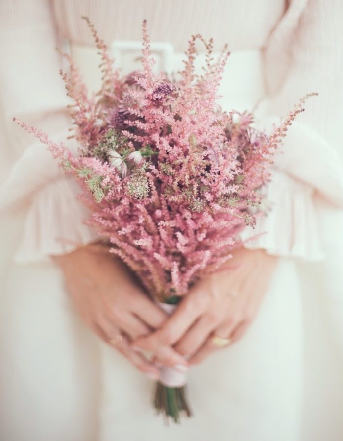 17438129_456903244701335_6537531602853953536_n