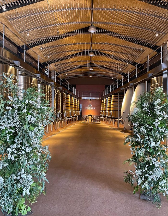 280962360_537793017874142_959941576442014894_n