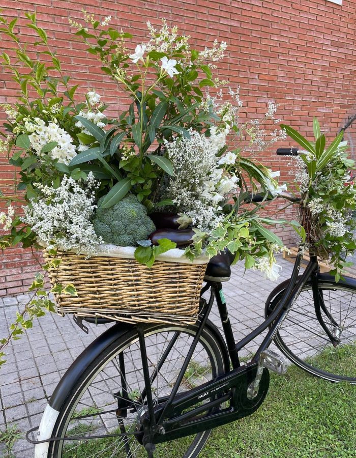 287586099_155674493638799_4397717471236590808_n